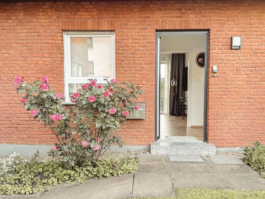 Apartamento Auszeit - Detmold Exterior foto